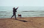 Fetch