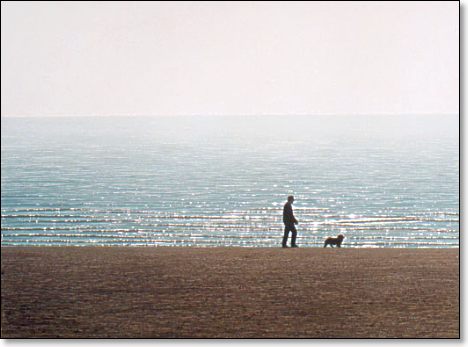 On the Beach - By Wayne Mondok