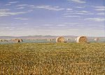 Hay Bales -Alberta